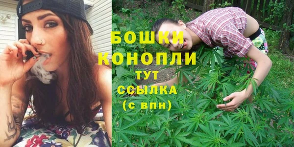 ECSTASY Богданович