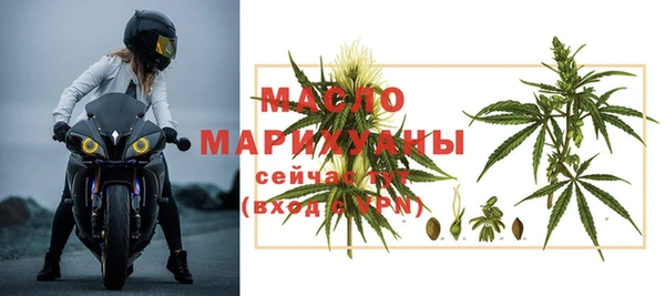 ECSTASY Богданович