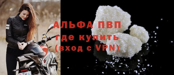 ECSTASY Богданович