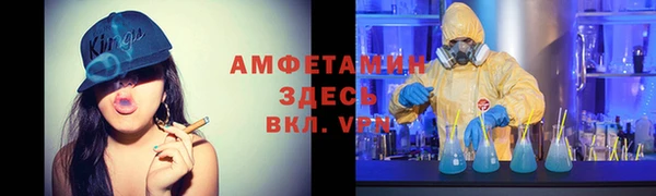 ECSTASY Богданович