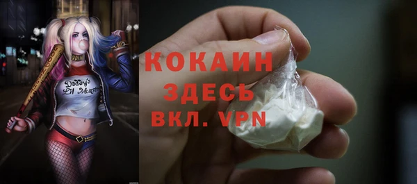 ECSTASY Богданович
