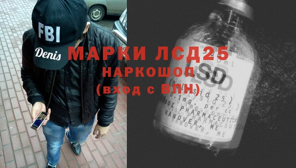 ECSTASY Богданович