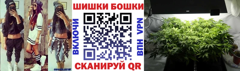 Купить закладки  Салехард  Каннабис OG Kush 